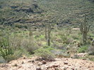 photo thumbnail #12