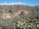 photo thumbnail #13
