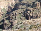 photo thumbnail #15