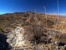 photo thumbnail #7