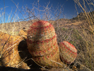 photo thumbnail #8