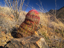 photo thumbnail #9