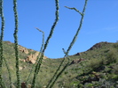 recent photo