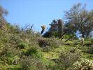 photo thumbnail #12