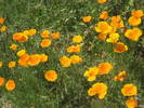 photo thumbnail #9