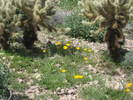 photo thumbnail #10