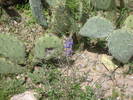 photo thumbnail #11