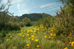 photo thumbnail #1