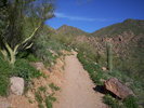 photo thumbnail #2