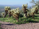 photo thumbnail #6