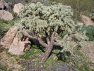 photo thumbnail #7