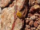 photo thumbnail #14