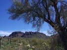 photo thumbnail #1