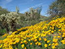 photo thumbnail #6