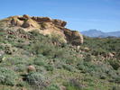 photo thumbnail #10