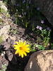 photo thumbnail #11