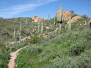 photo thumbnail #14