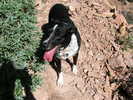 photo thumbnail #4