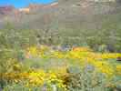photo thumbnail #12