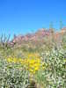 photo thumbnail #13