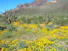 photo thumbnail #14