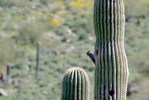 photo thumbnail #2