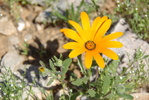 photo thumbnail #3