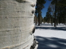 photo thumbnail #7