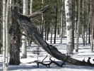 photo thumbnail #8