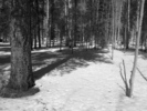 photo thumbnail #10