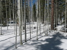 photo thumbnail #12