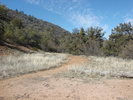 photo thumbnail #9