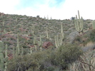photo thumbnail #9