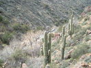 photo thumbnail #12