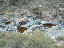 photo thumbnail #15