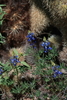 photo thumbnail #7