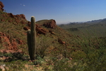 photo thumbnail #14
