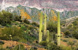 photo thumbnail #6