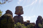photo thumbnail #8