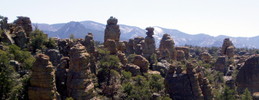 photo thumbnail #13