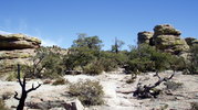 photo thumbnail #15