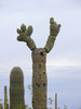 photo thumbnail #7