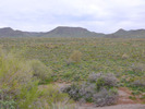 photo thumbnail #8