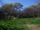 photo thumbnail #3