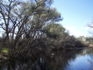 photo thumbnail #5