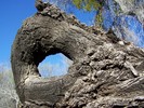 photo thumbnail #8