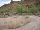 photo thumbnail #6