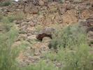 photo thumbnail #7