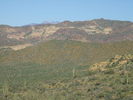 photo thumbnail #5