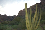 photo thumbnail #2